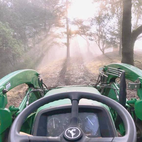 Meet your Posher, Mark - Picture 1 of 1